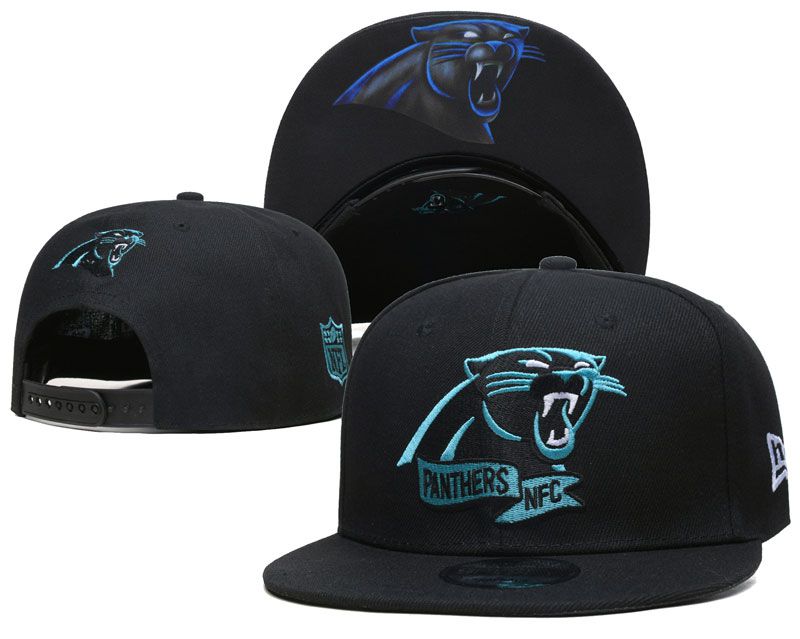 2022 NFL Carolina Panthers Hat TX 1024->nba hats->Sports Caps